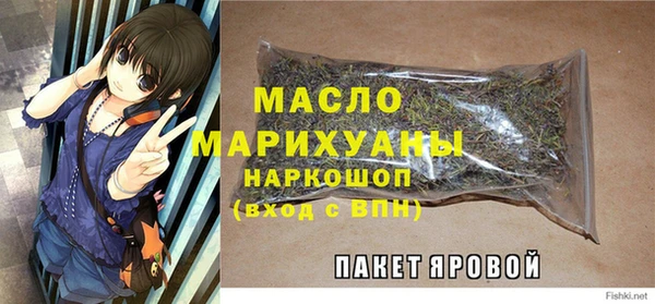 молекула духа Богданович