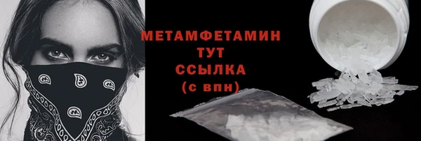 молекула духа Богданович