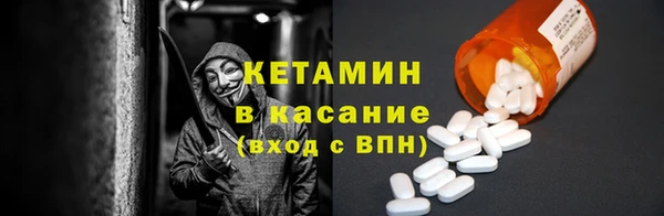 молекула духа Богданович