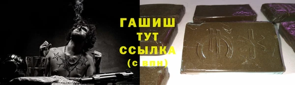 молекула духа Богданович