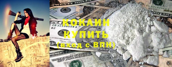 молекула духа Богданович