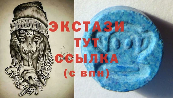 молекула духа Богданович