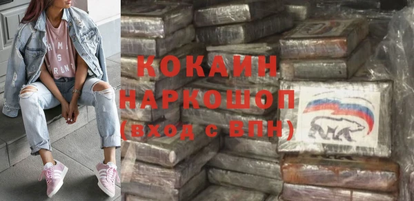 молекула духа Богданович