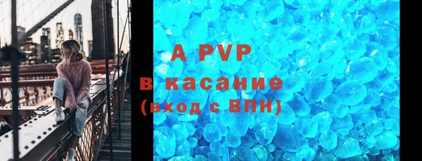 молекула духа Богданович