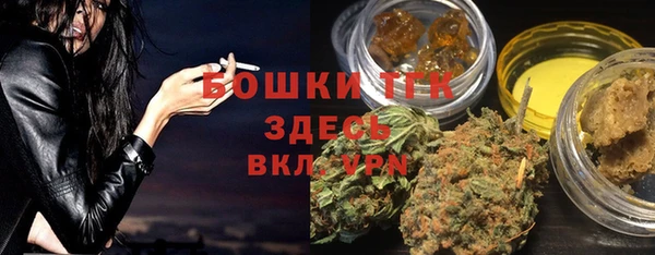 молекула духа Богданович