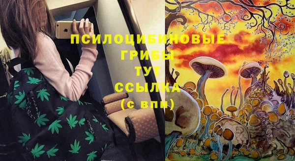 круглые Богородицк