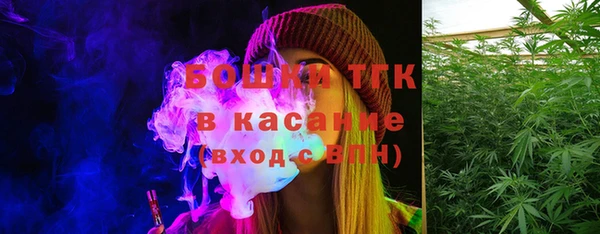 молекула духа Богданович