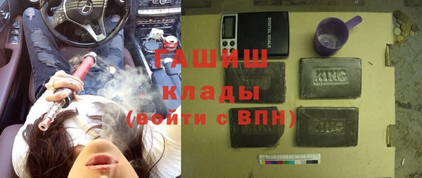 молекула духа Богданович