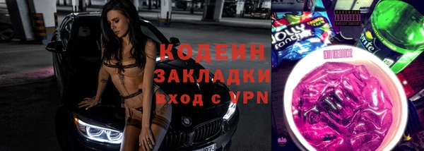 молекула духа Богданович
