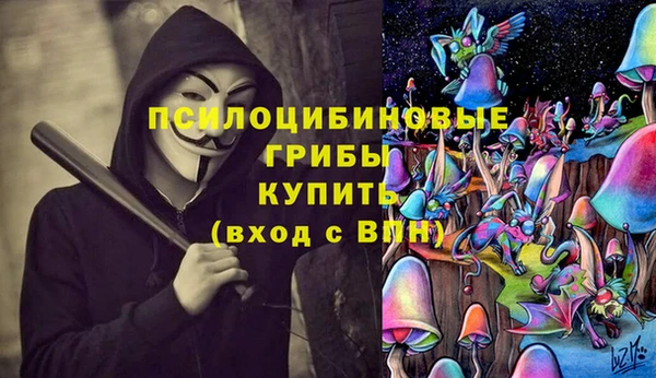 молекула духа Богданович