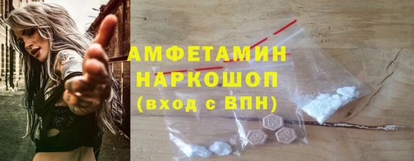 молекула духа Богданович
